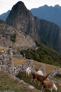 Os habitantes de Machu Picchu, Peru, 2009  